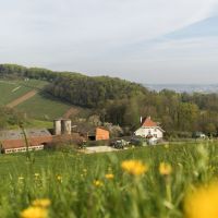 117.jpg